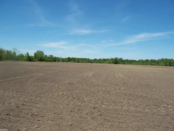 $95,000 | Lot 5 Lapeer Road, Smiths Creek, MI 48074