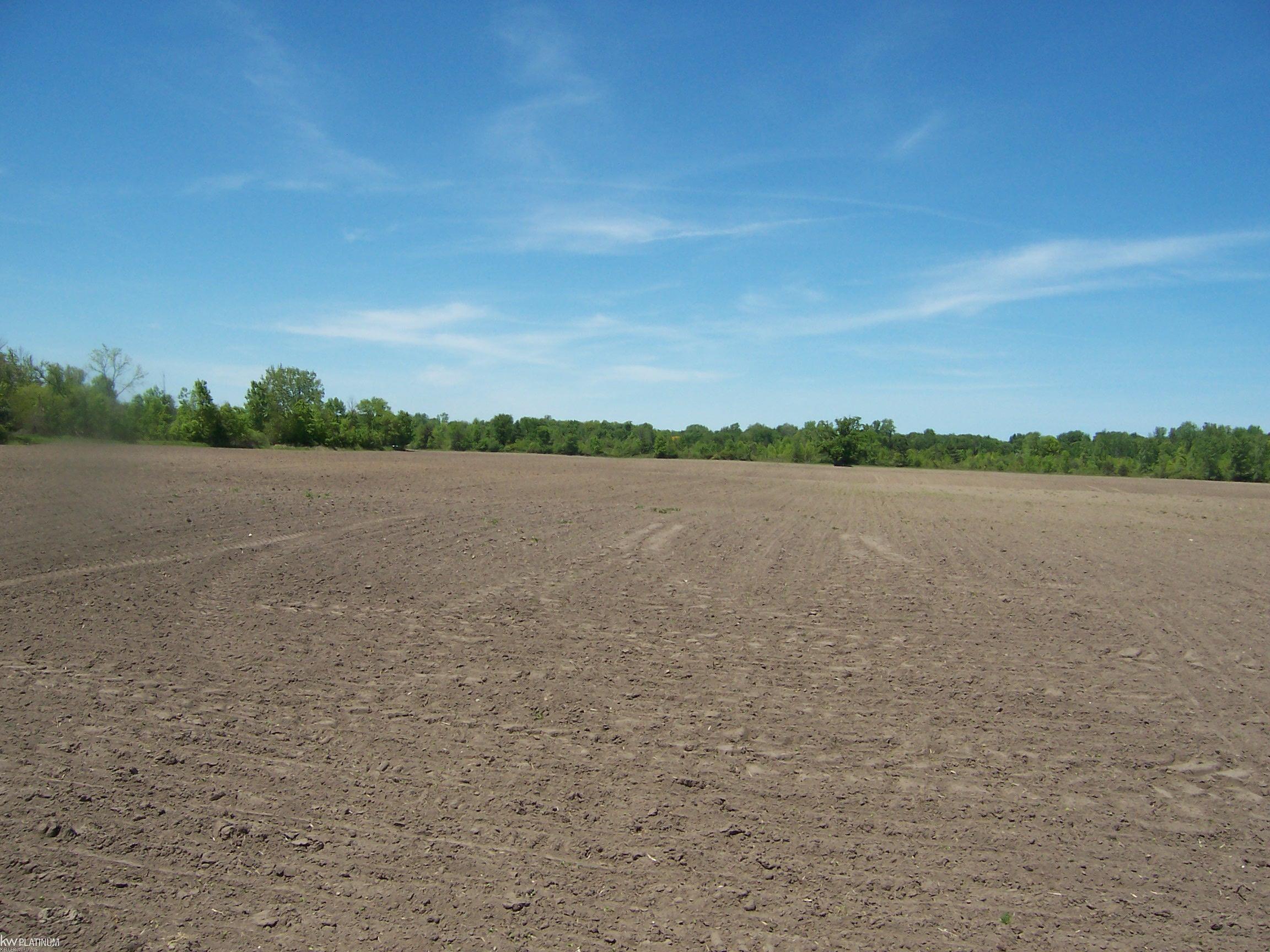 Lot 5 Lapeer Road Smiths Creek, MI 48074 - Photo 1 of 2