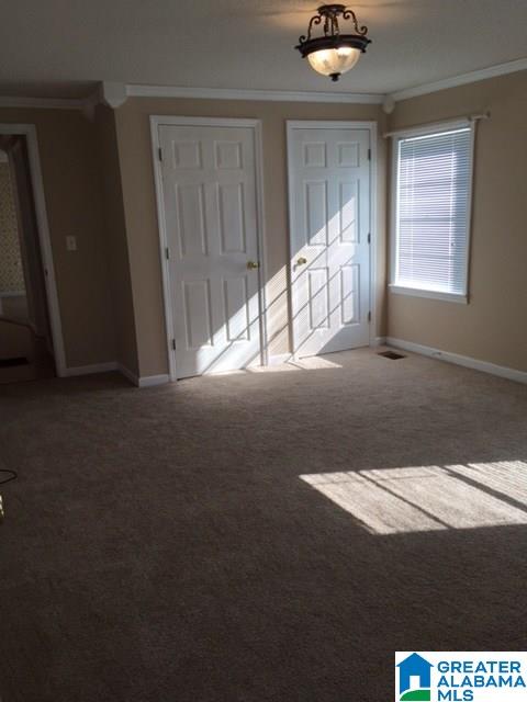 4904 Jim Goggans Road Dora, AL 35062 - Photo 4 of 21
