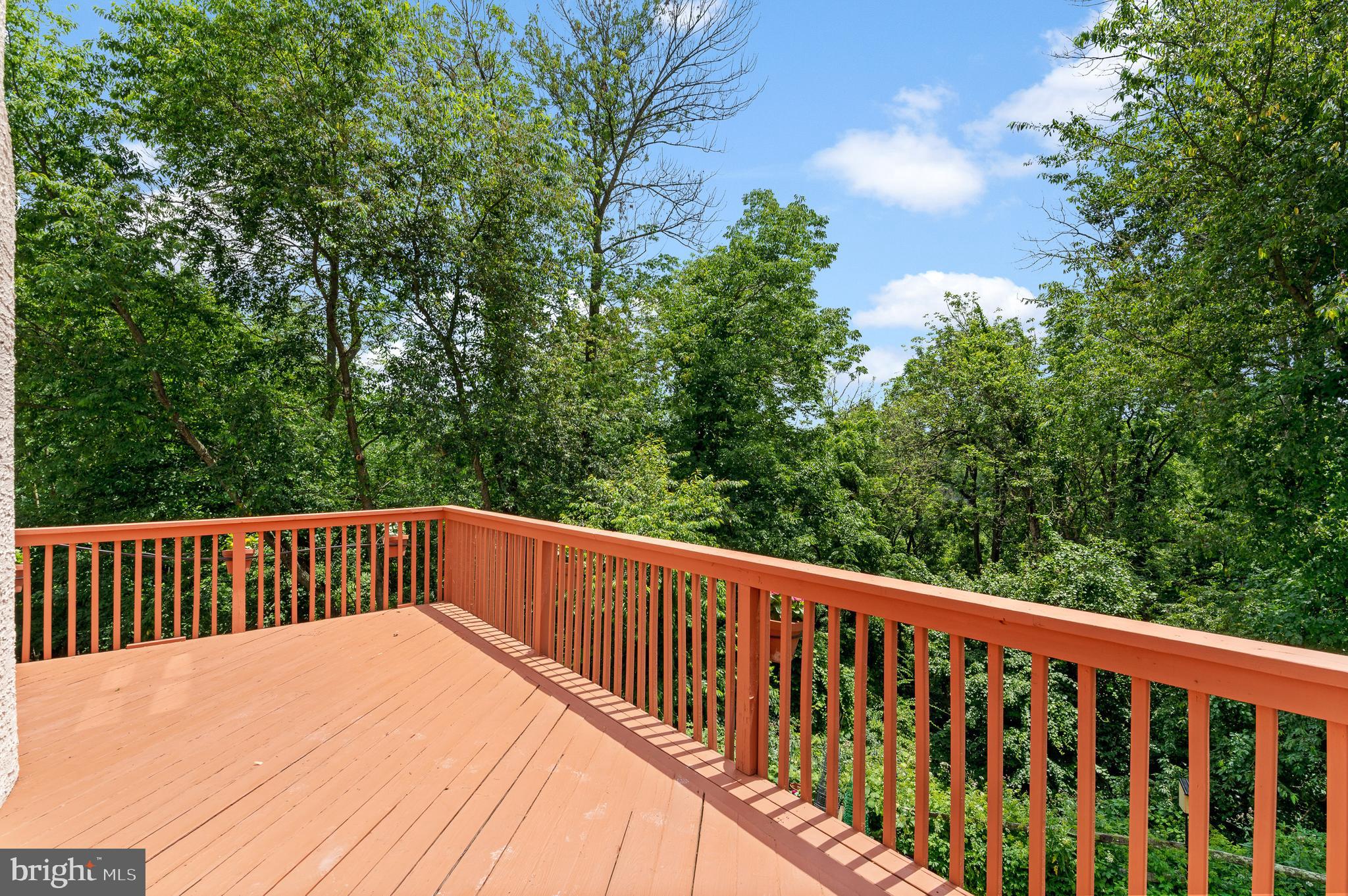 22 Ridgeview Road Newtown Square, PA 19073 - Photo 36 of 41