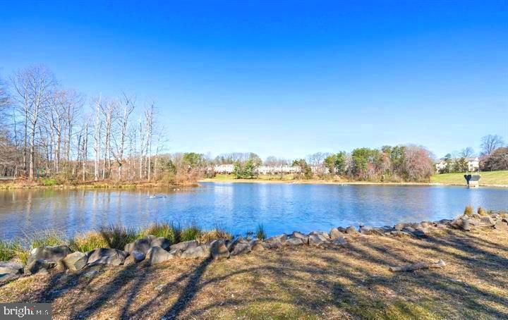 5912 Cove Landing Road, Unit 301 Burke, VA 22015 - Photo 26 of 30 a view of a lake