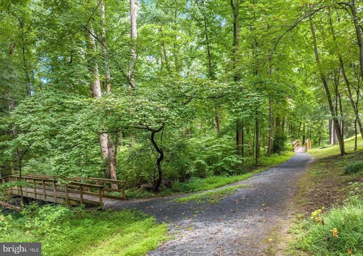 5912 Cove Landing Road, Unit 301 Burke, VA 22015 - Photo 27 of 30 a view of a yard with plants and large trees