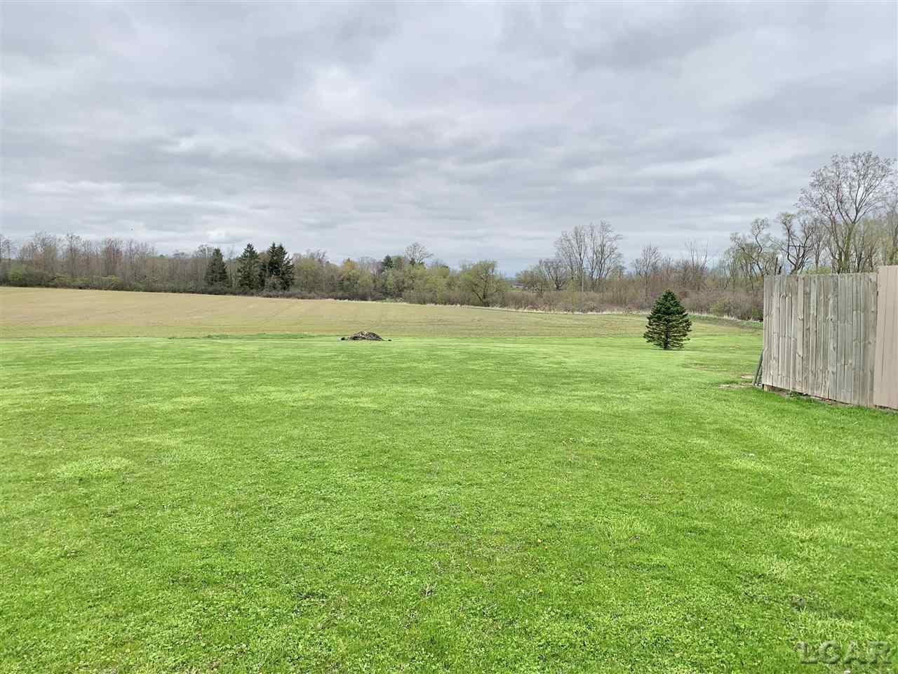 4586 Clinton Macon Road Clinton, MI 49236 - Photo 58 of 63 50076526-57.JPG