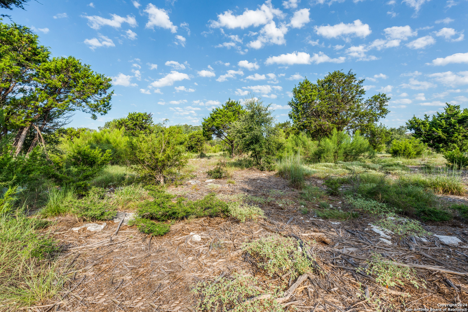 5889 Verden Ridge New Braunfels, TX 78132 - Photo 11 of 13