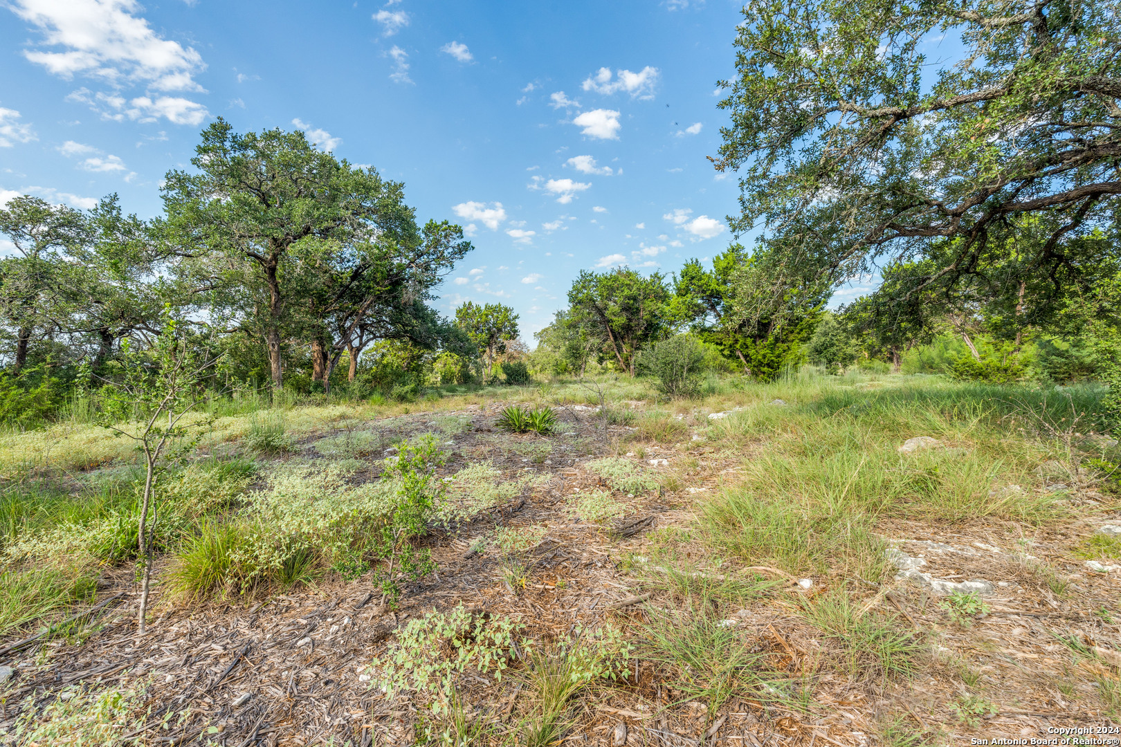 5889 Verden Ridge New Braunfels, TX 78132 - Photo 12 of 13