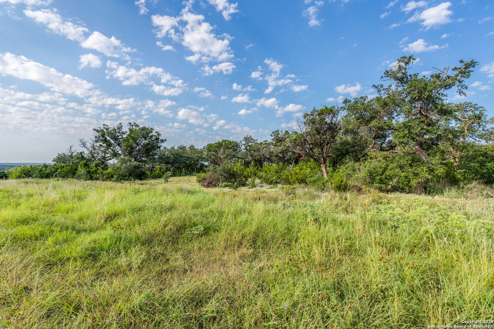 5889 Verden Ridge New Braunfels, TX 78132 - Photo 13 of 13