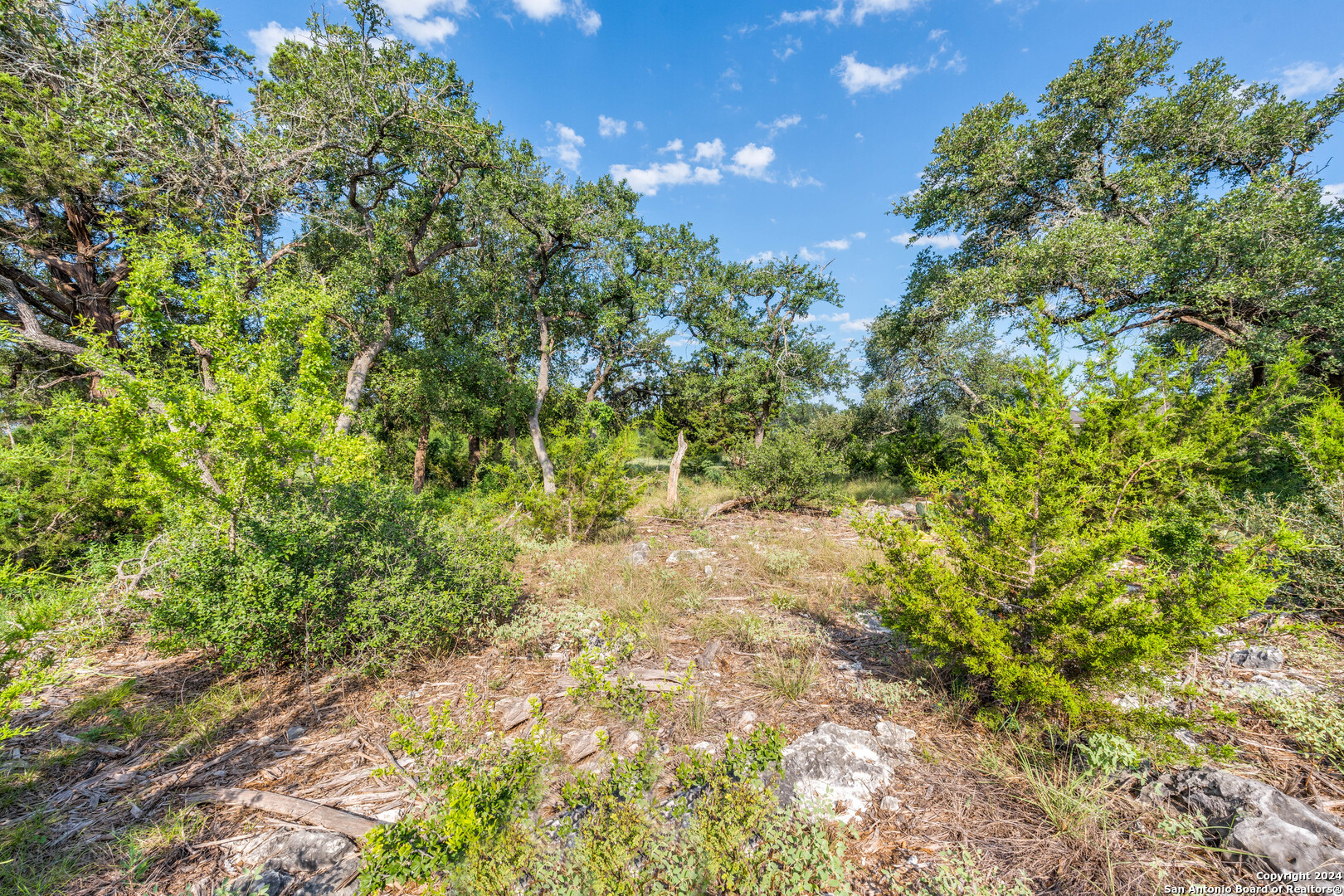 5889 Verden Ridge New Braunfels, TX 78132 - Photo 6 of 13