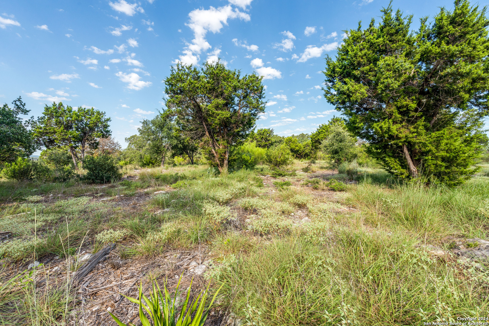 5889 Verden Ridge New Braunfels, TX 78132 - Photo 7 of 13