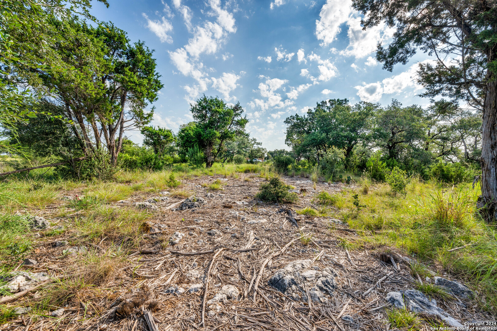 5889 Verden Ridge New Braunfels, TX 78132 - Photo 8 of 13