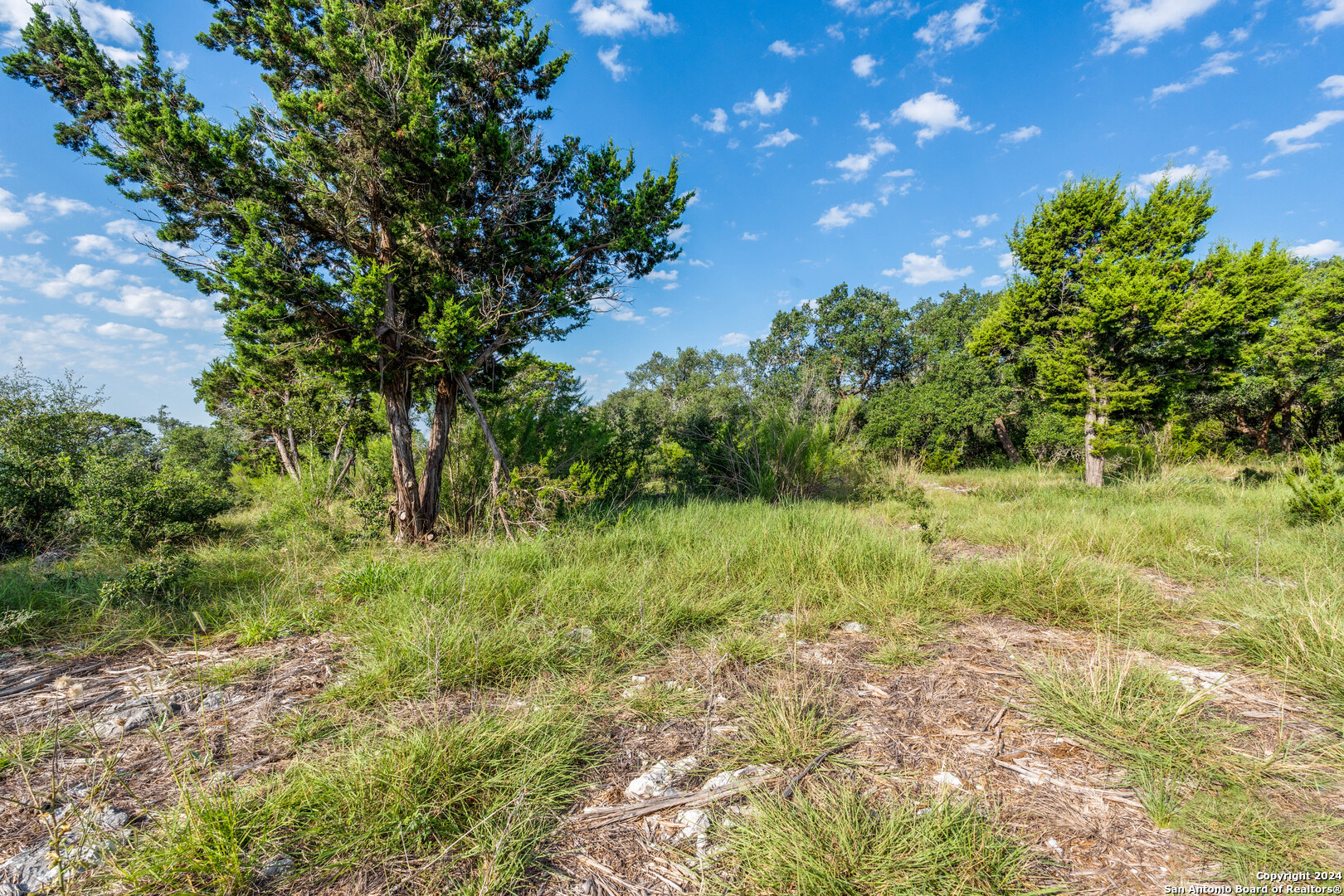 5889 Verden Ridge New Braunfels, TX 78132 - Photo 9 of 13