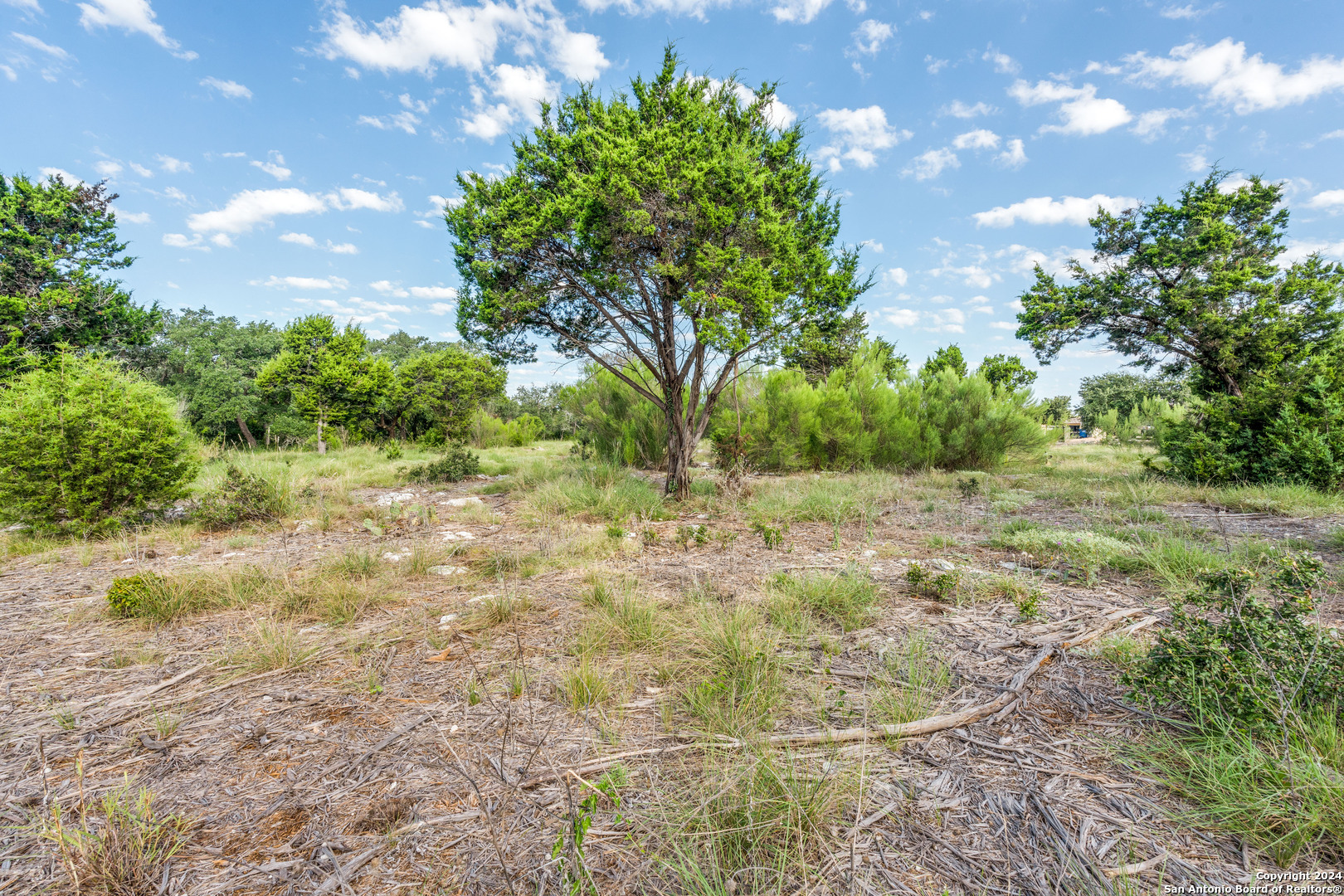 5889 Verden Ridge New Braunfels, TX 78132 - Photo 10 of 13