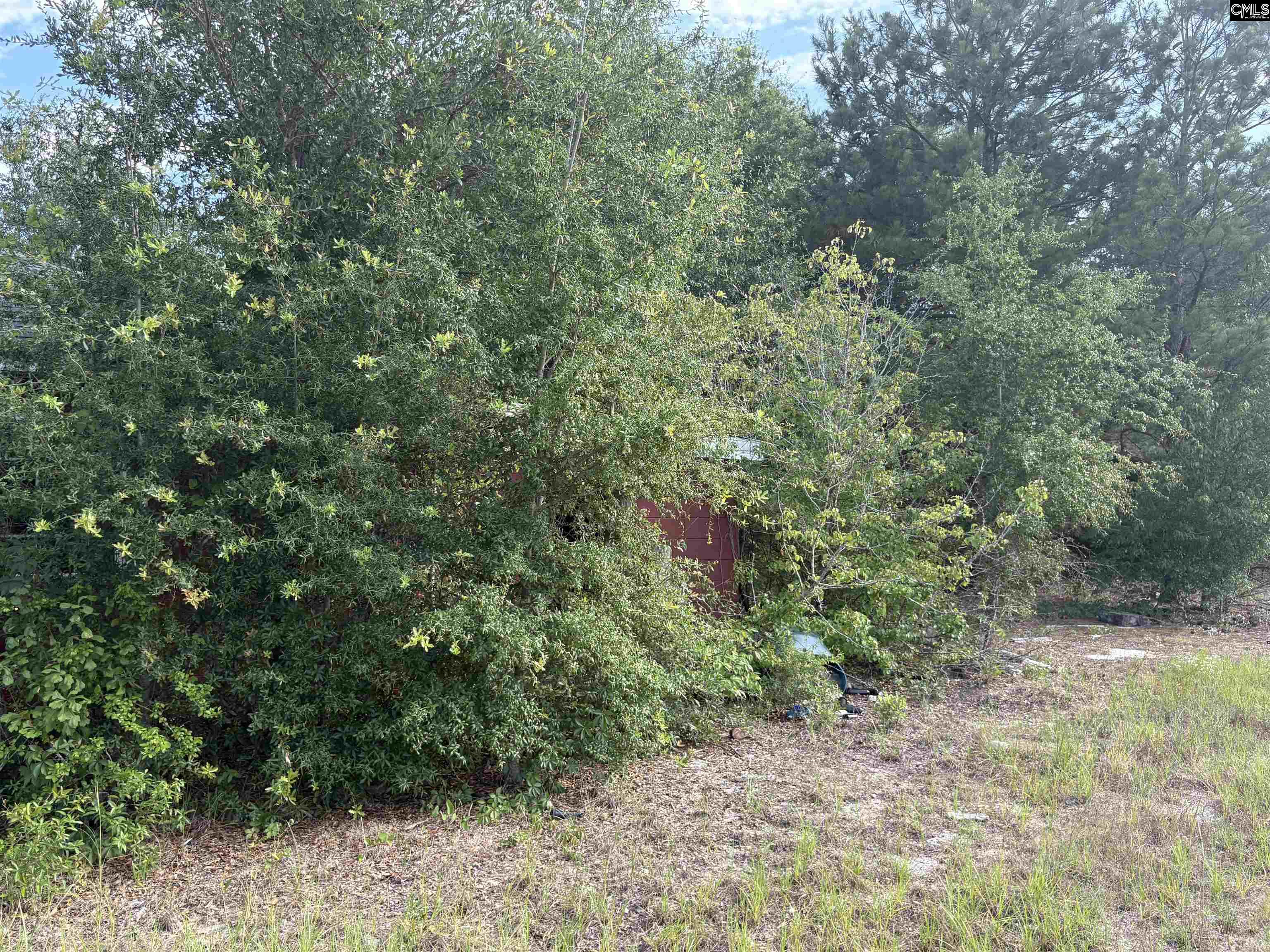 545 Flinns Road Hartsville, SC 29550 - Photo 11 of 14