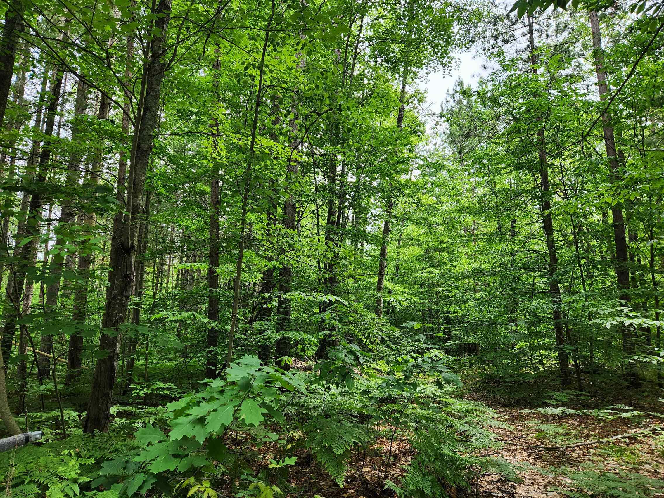 5364 Blue Lake Road Northeast, Unit LOT: K Kalkaska, MI 49646 - Photo 20 of 32