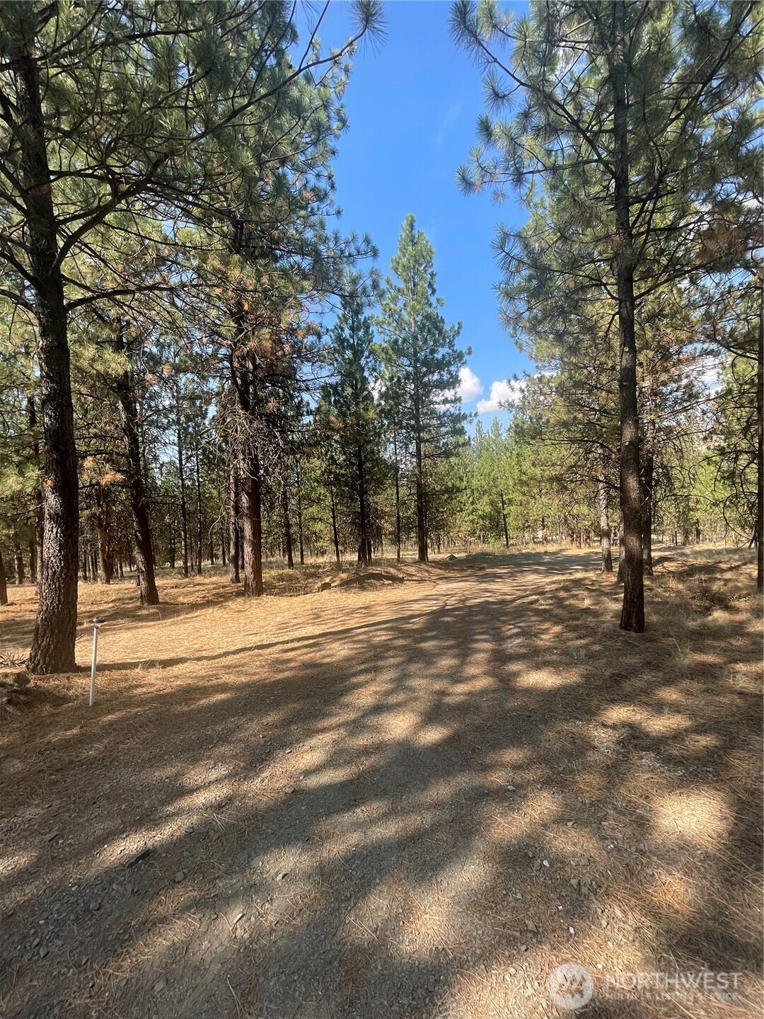 12 Caribou Road Tonasket, WA 98855 - Photo 34 of 37 a view of road with trees