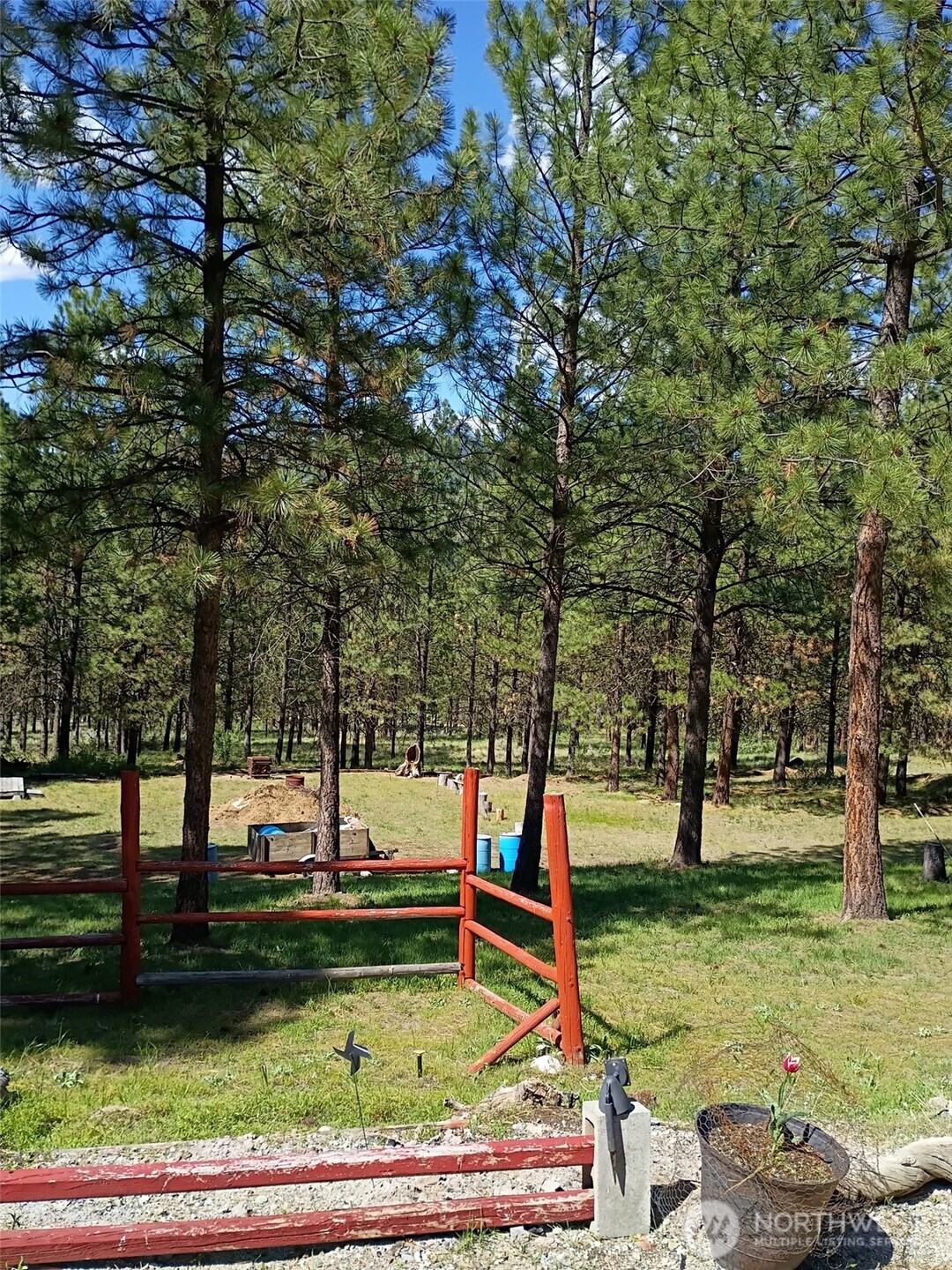 12 Caribou Road Tonasket, WA 98855 - Photo 6 of 37 a view of a park with large trees