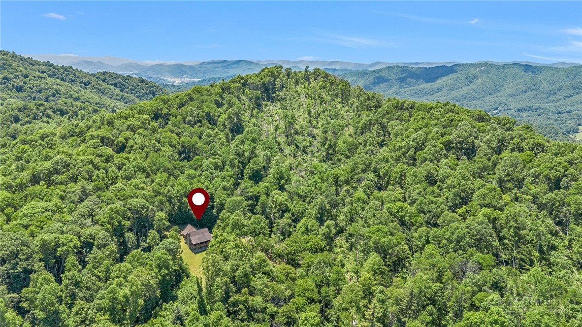 4098 Roundabout Road Creston, NC 28615 - Photo 50 of 50