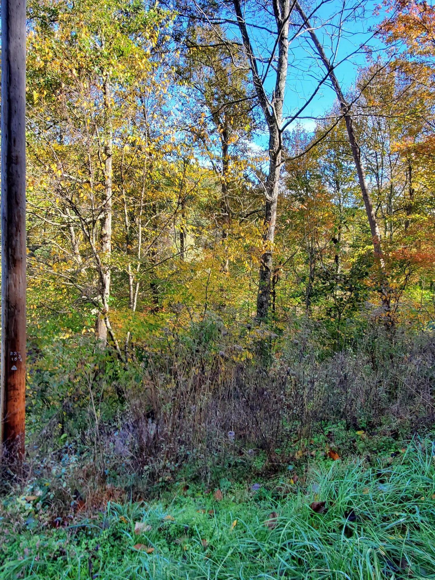 9999 Fisherman Cove Road London, KY 40741 - Photo 2 of 4 20211027_104142