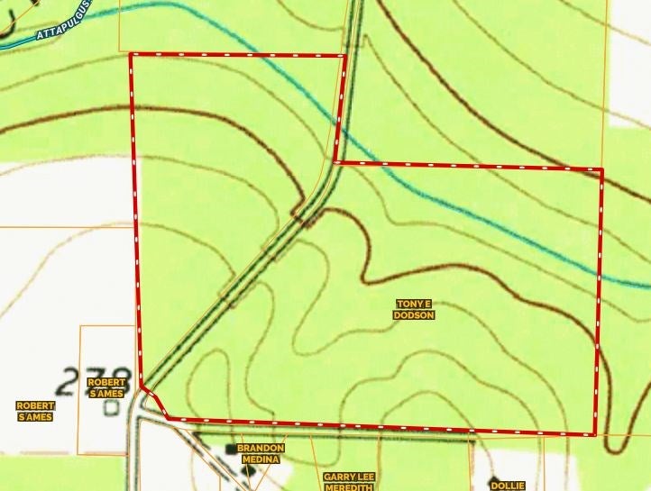 363 Jones Road Climax, GA 39834 - Photo 10 of 33 Topo Map