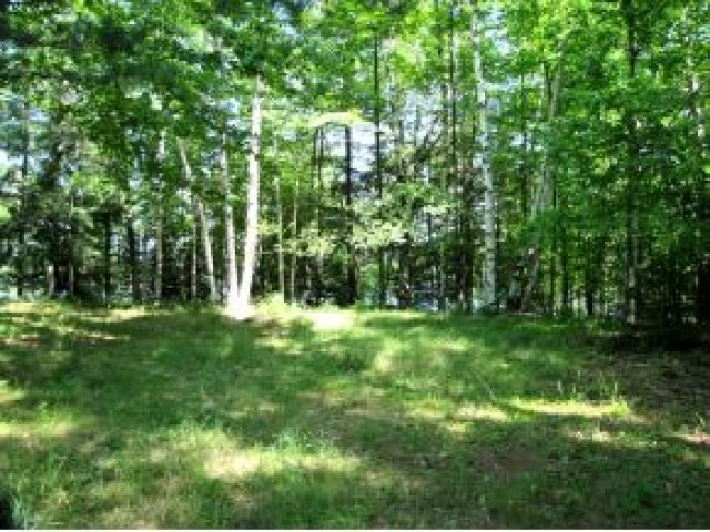 1.015 A Cook Drive Rhinelander, WI 54501 - Photo 4 of 12 Gallery Image 4