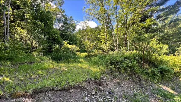 $17,000 | Cherry Valley Road, Allegany, NY 14706