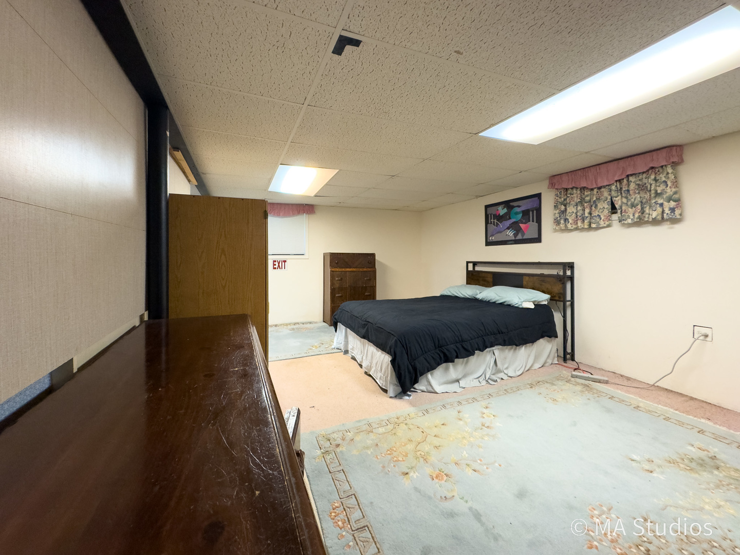 1219 Golf Lane Wheaton, IL 60189 - Photo 38 of 67 a bedroom with a large bed and a potted plant