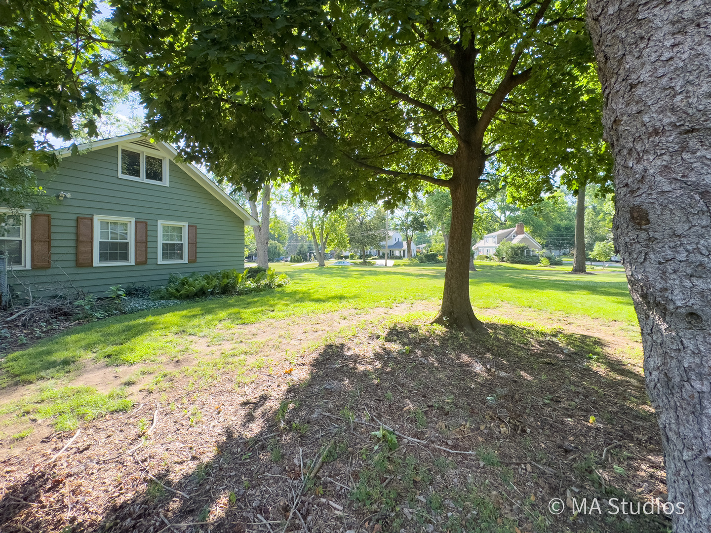 1219 Golf Lane Wheaton, IL 60189 - Photo 51 of 67 a view of backyard with large trees and a large tree