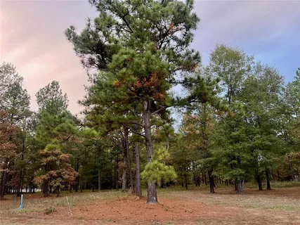 $370,000 | 0 Lochinvar Lane, Unit 2, Shreveport, LA 71106