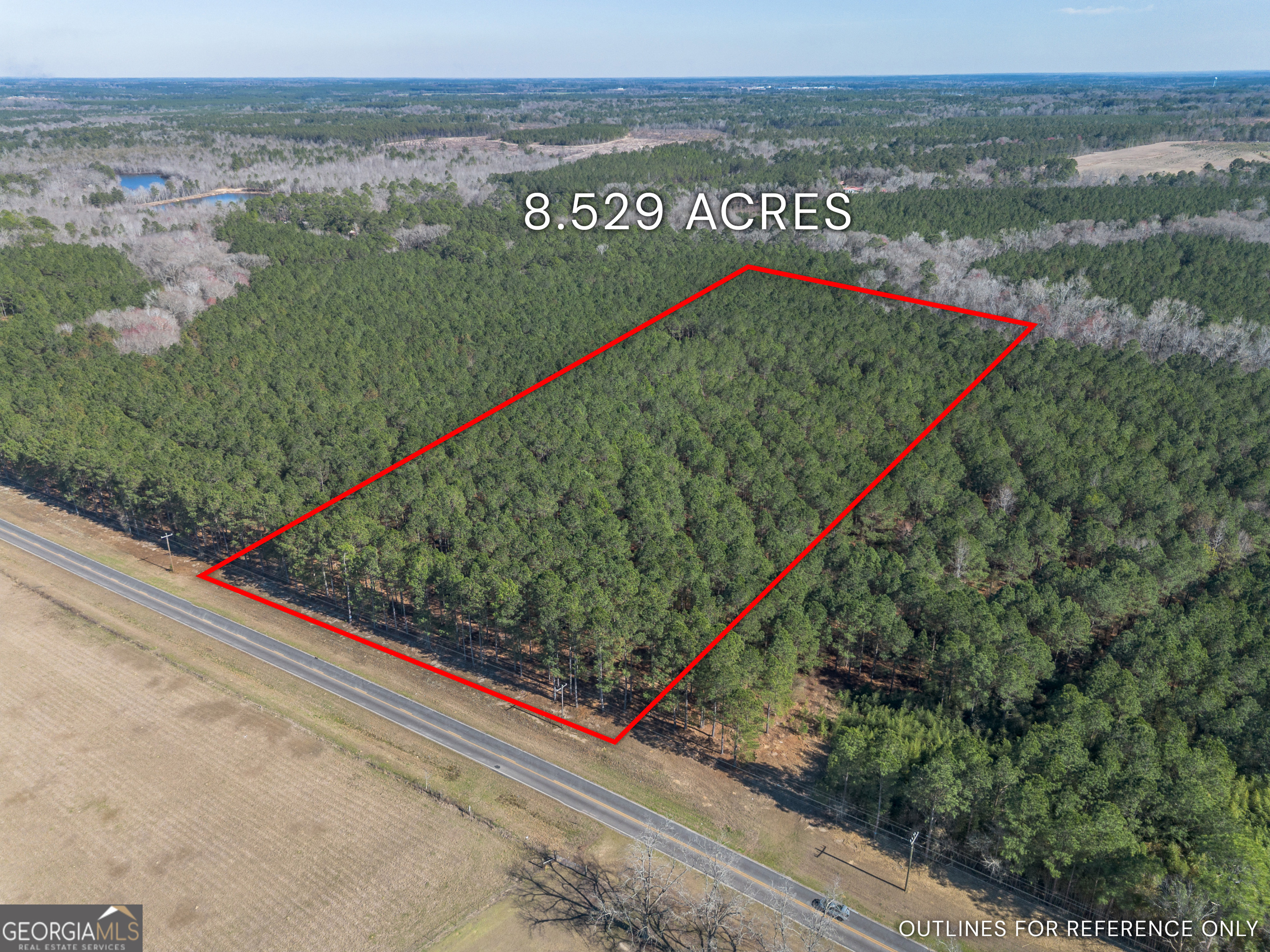 Lot 2 Ben Giddens Road Eastman, GA 31023 - Photo 1 of 10