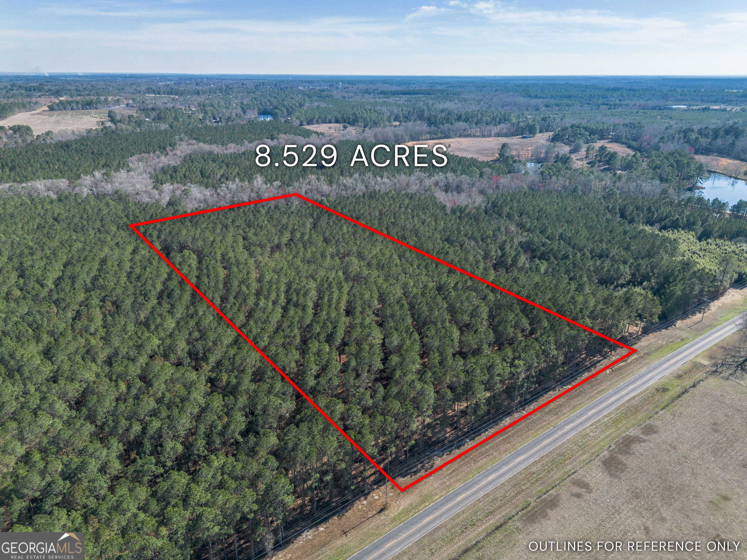 Lot 2 Ben Giddens Road Eastman, GA 31023 - Photo 2 of 10