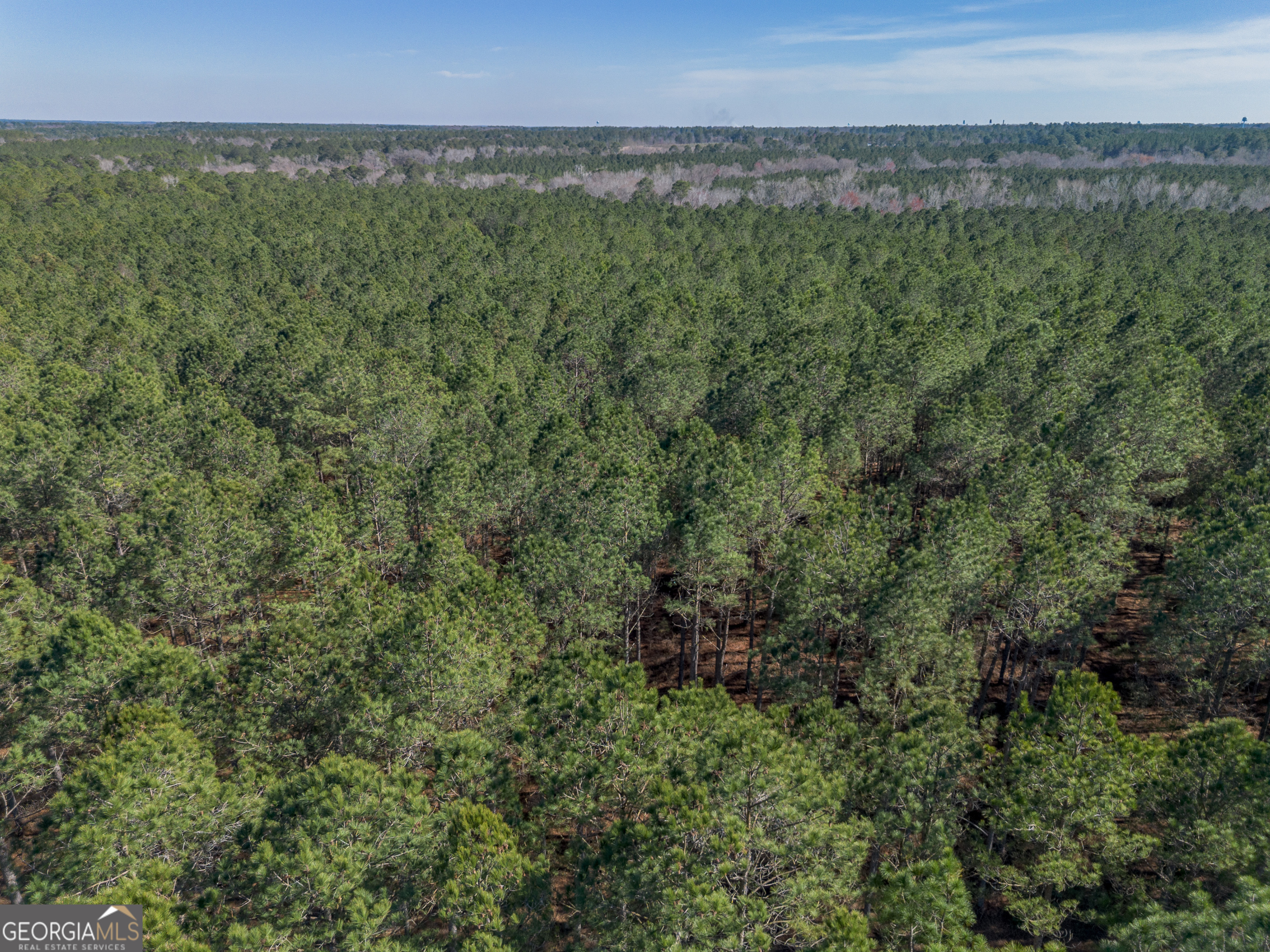 Lot 2 Ben Giddens Road Eastman, GA 31023 - Photo 3 of 10