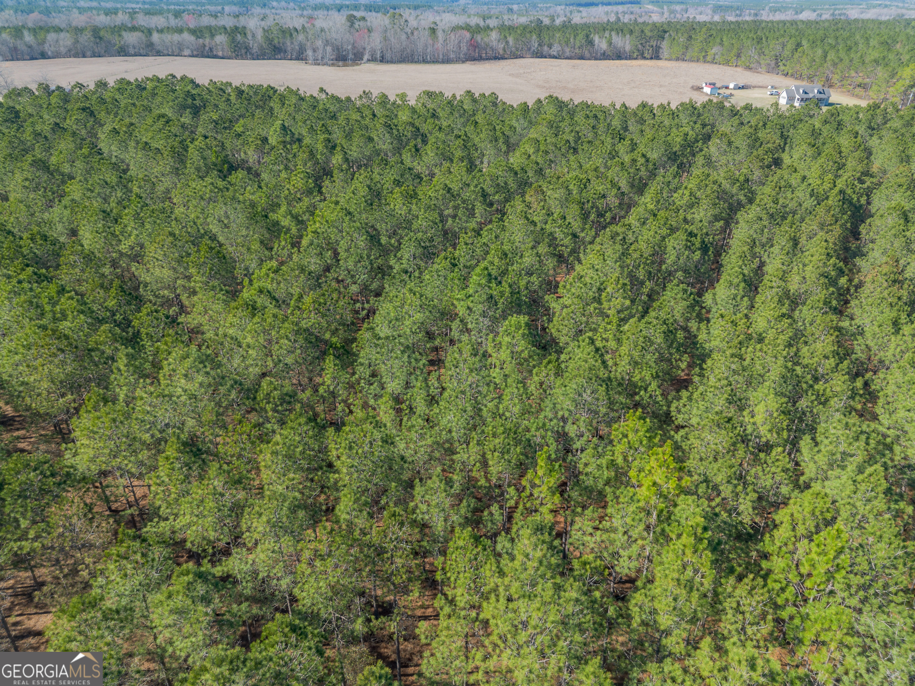 Lot 2 Ben Giddens Road Eastman, GA 31023 - Photo 4 of 10