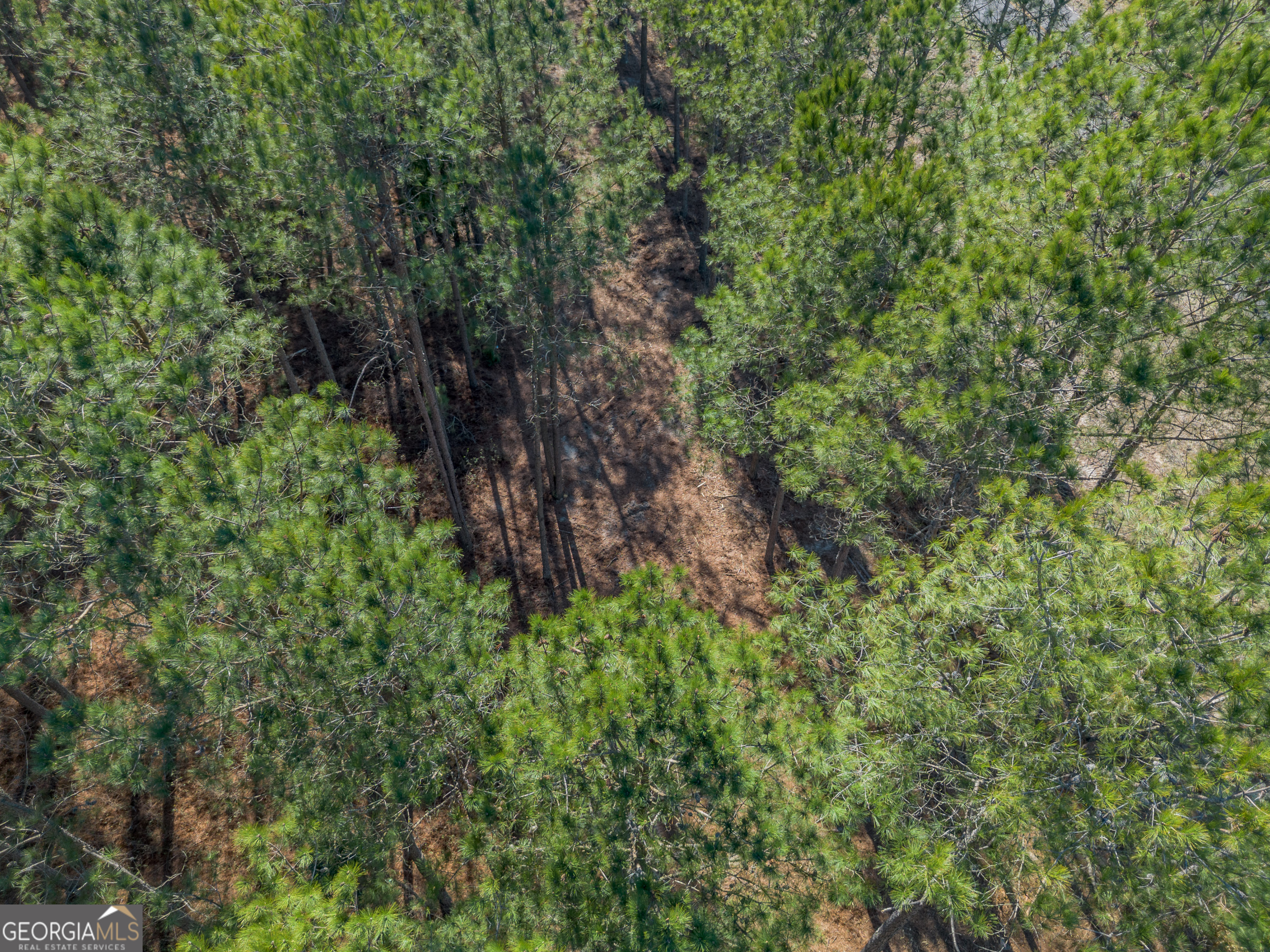 Lot 2 Ben Giddens Road Eastman, GA 31023 - Photo 5 of 10
