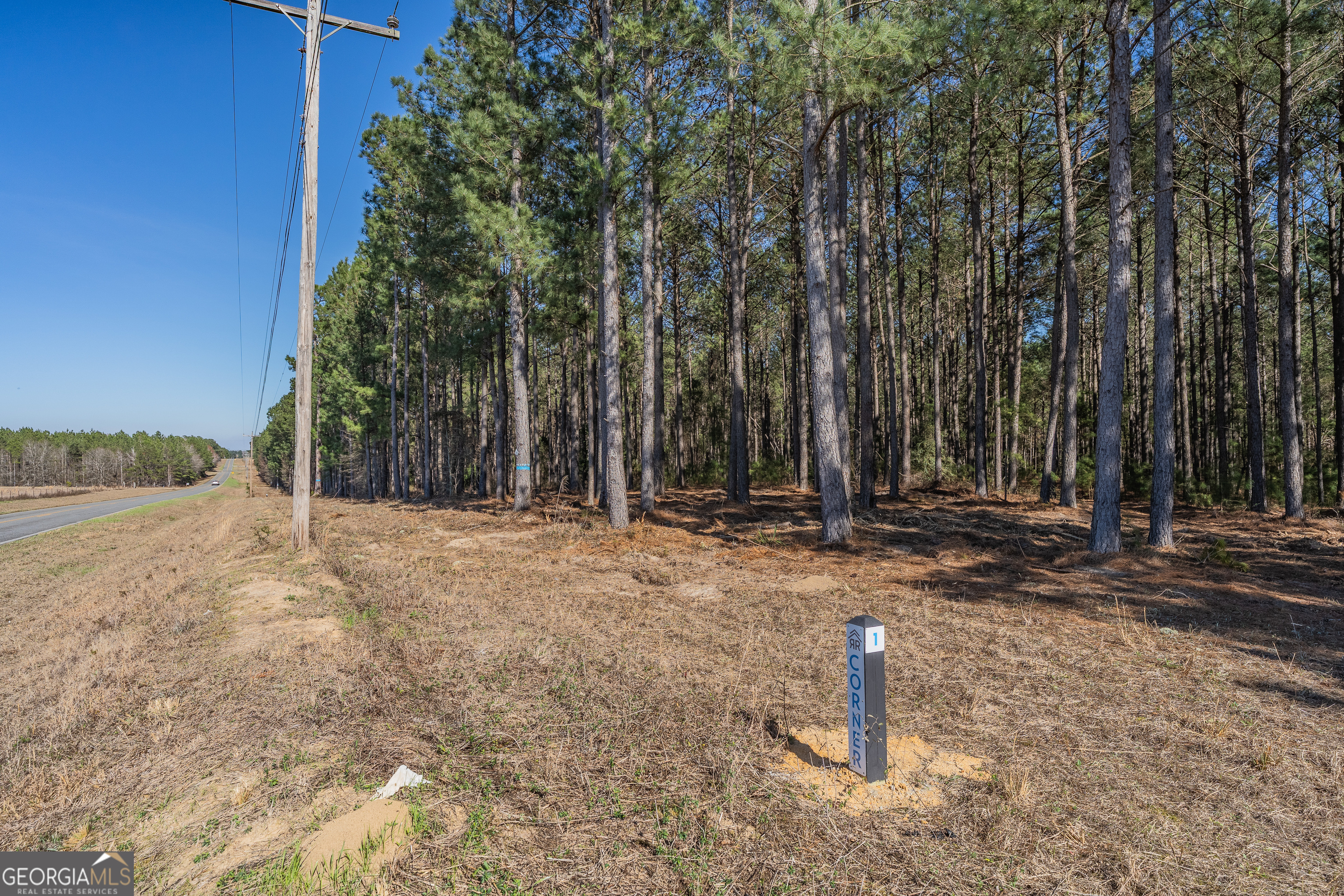 Lot 2 Ben Giddens Road Eastman, GA 31023 - Photo 7 of 10