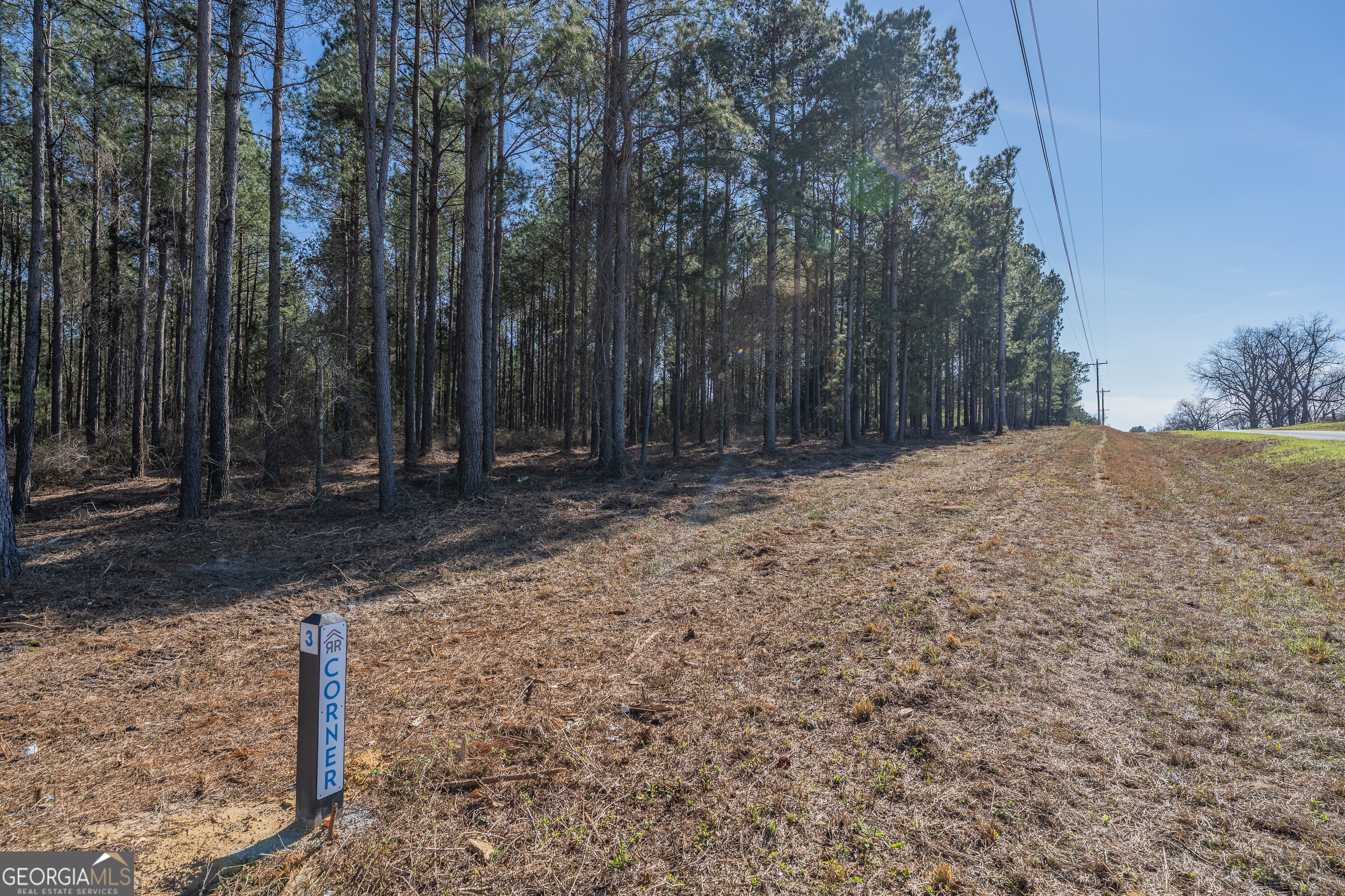 Lot 2 Ben Giddens Road Eastman, GA 31023 - Photo 8 of 10