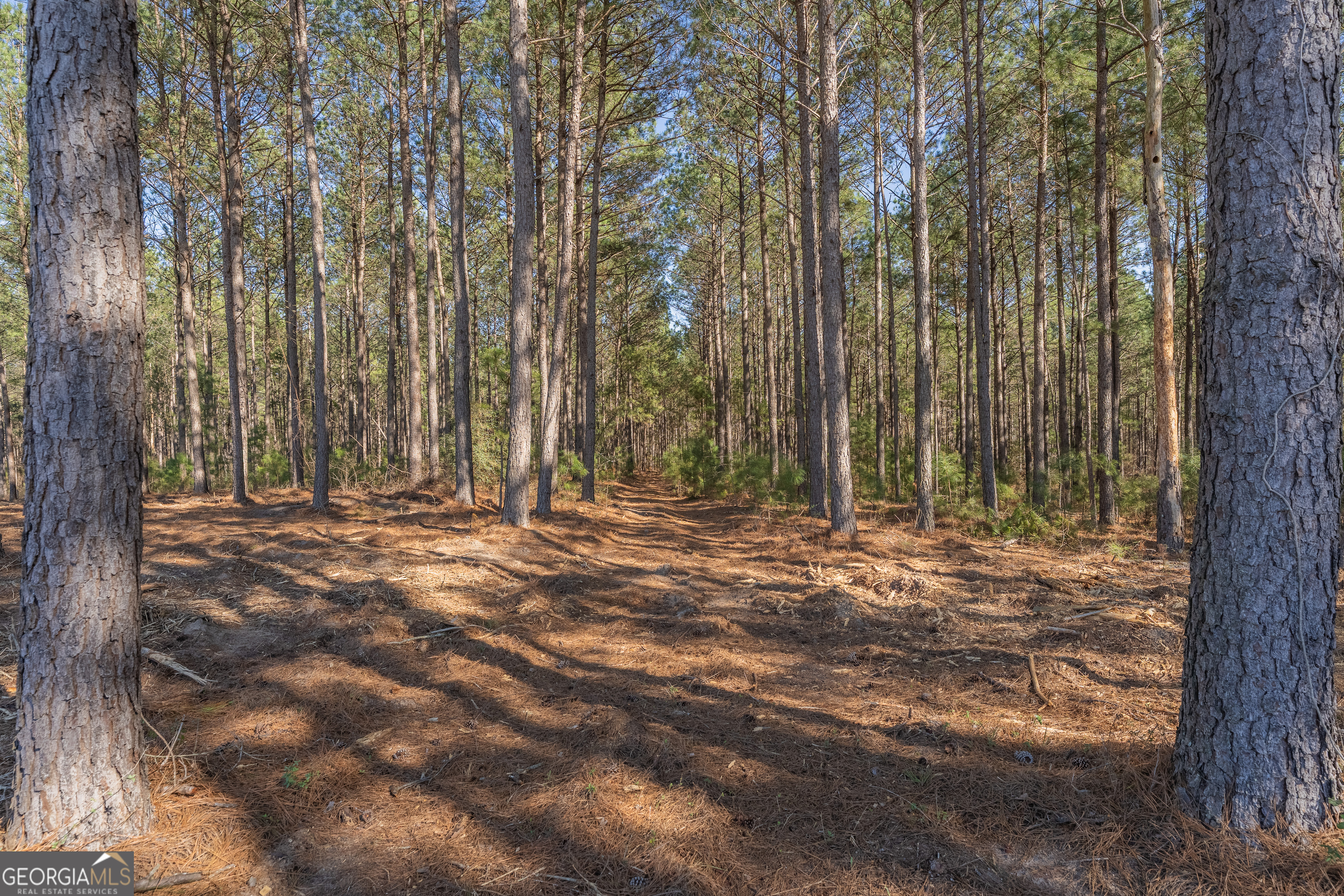Lot 2 Ben Giddens Road Eastman, GA 31023 - Photo 9 of 10