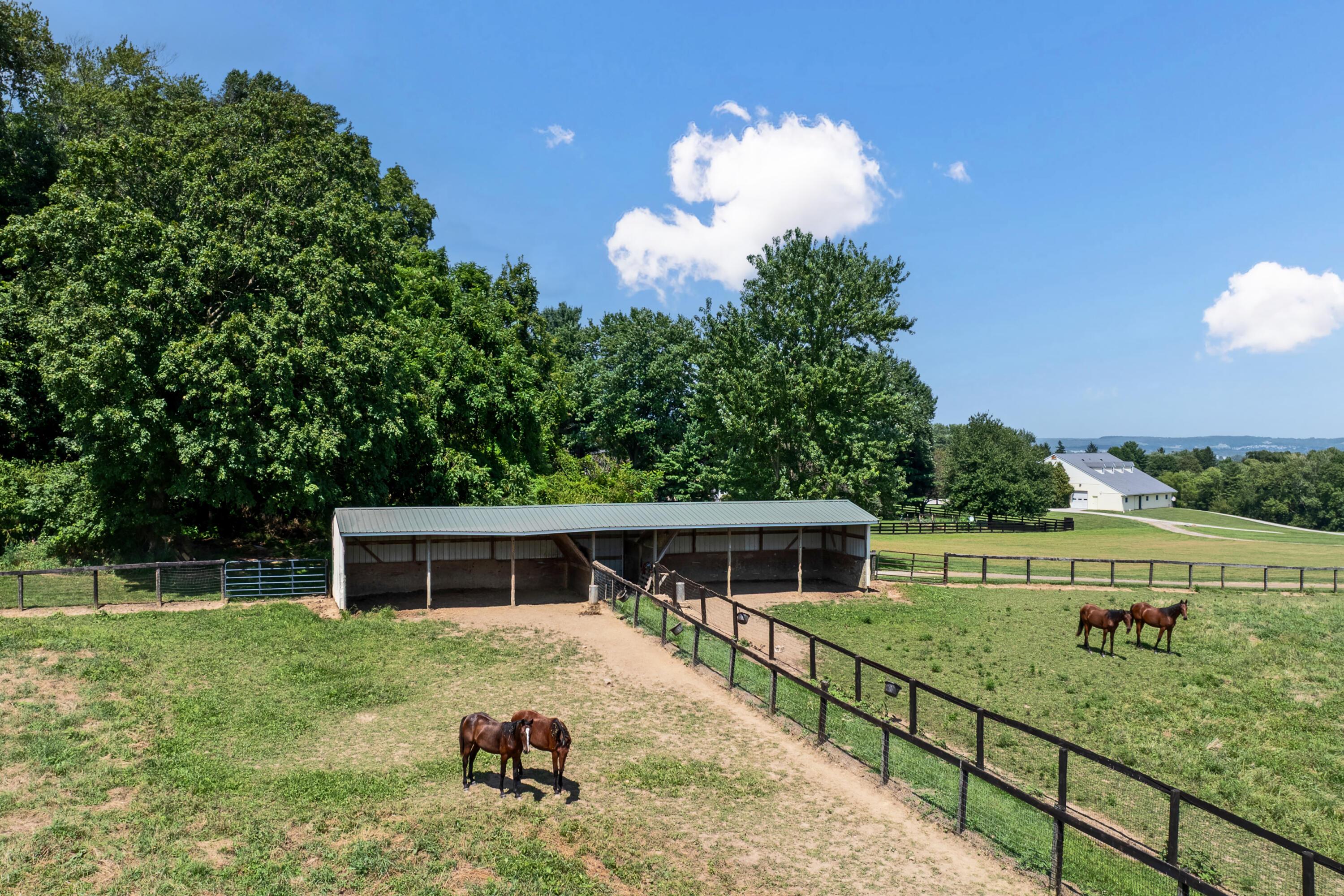 5701 Lancaster-Circleville Road Southwest Lancaster, OH 43130 - Photo 136 of 144 59. Pastures & Run-Ins