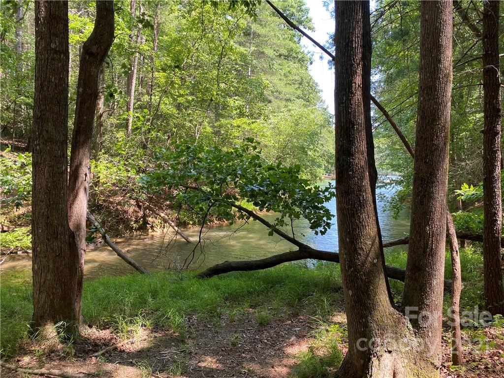 171 Big Tree Way, Unit 4 Nebo, NC 28761 - Photo 1 of 11 Gallery Image 1