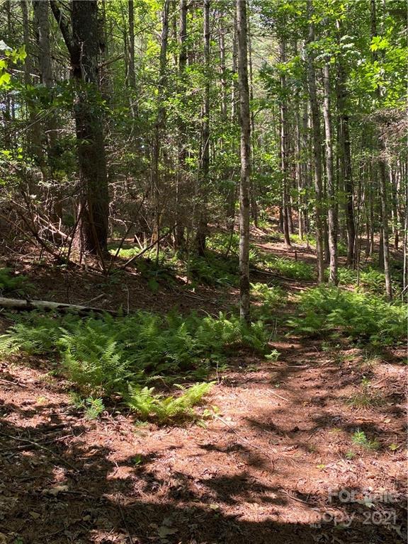 171 Big Tree Way, Unit 4 Nebo, NC 28761 - Photo 3 of 11 Gallery Image 3