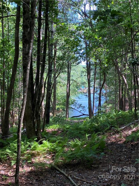 171 Big Tree Way, Unit 4 Nebo, NC 28761 - Photo 4 of 11 Gallery Image 4
