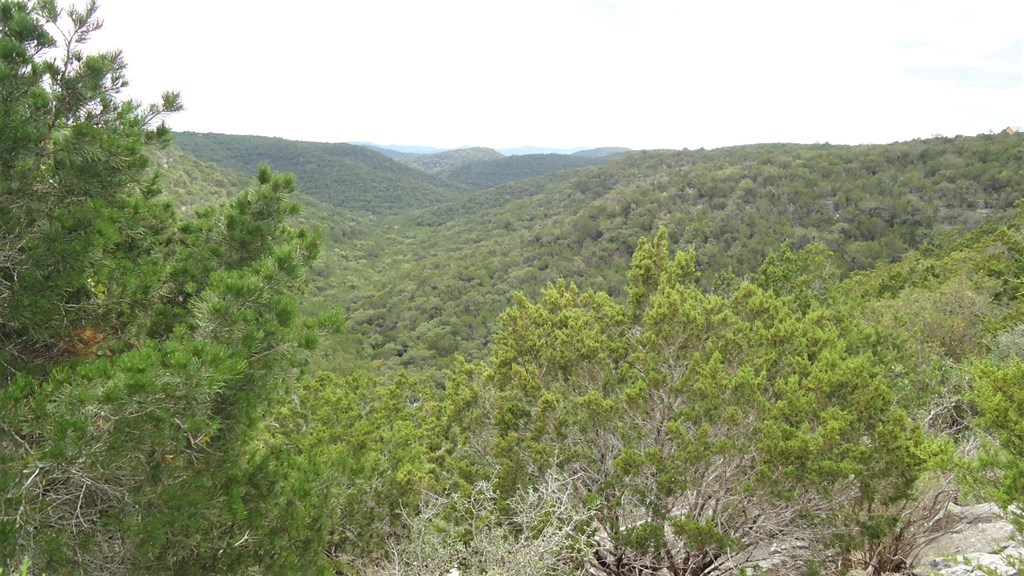 229 Pinon Loop East Camp Wood, TX 78833 - Photo 15 of 24