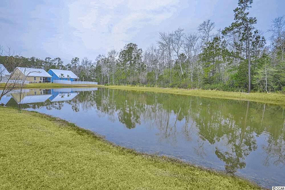 433 Waties Drive Murrells Inlet, SC 29576 - Photo 26 of 27 Gallery Image 26