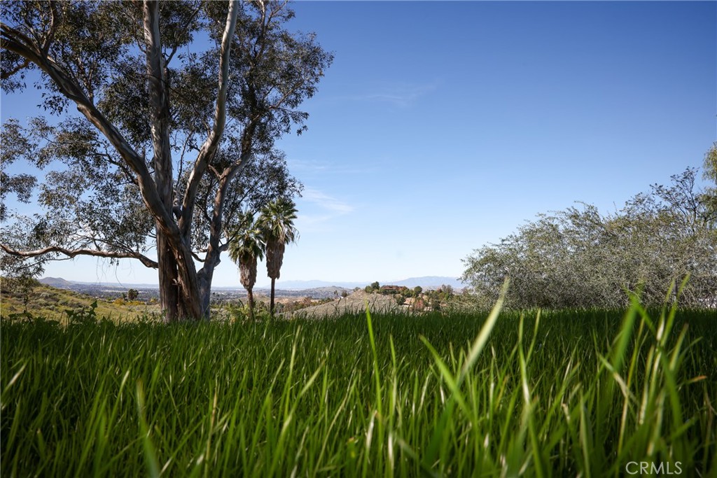2216 El Capitan Drive Riverside, CA 92506 - Photo 35 of 39 a backyard of a house with lots of green space