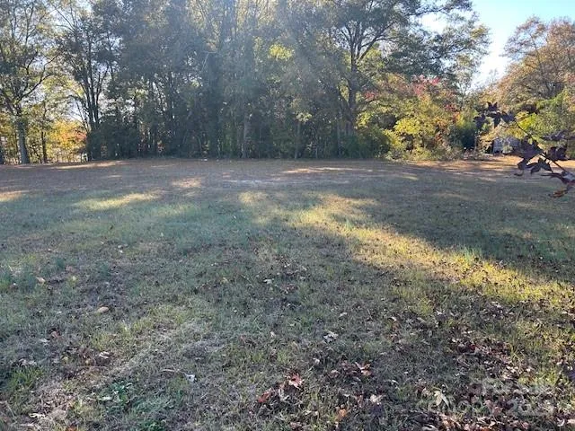 a view of dirt yard with a large tree