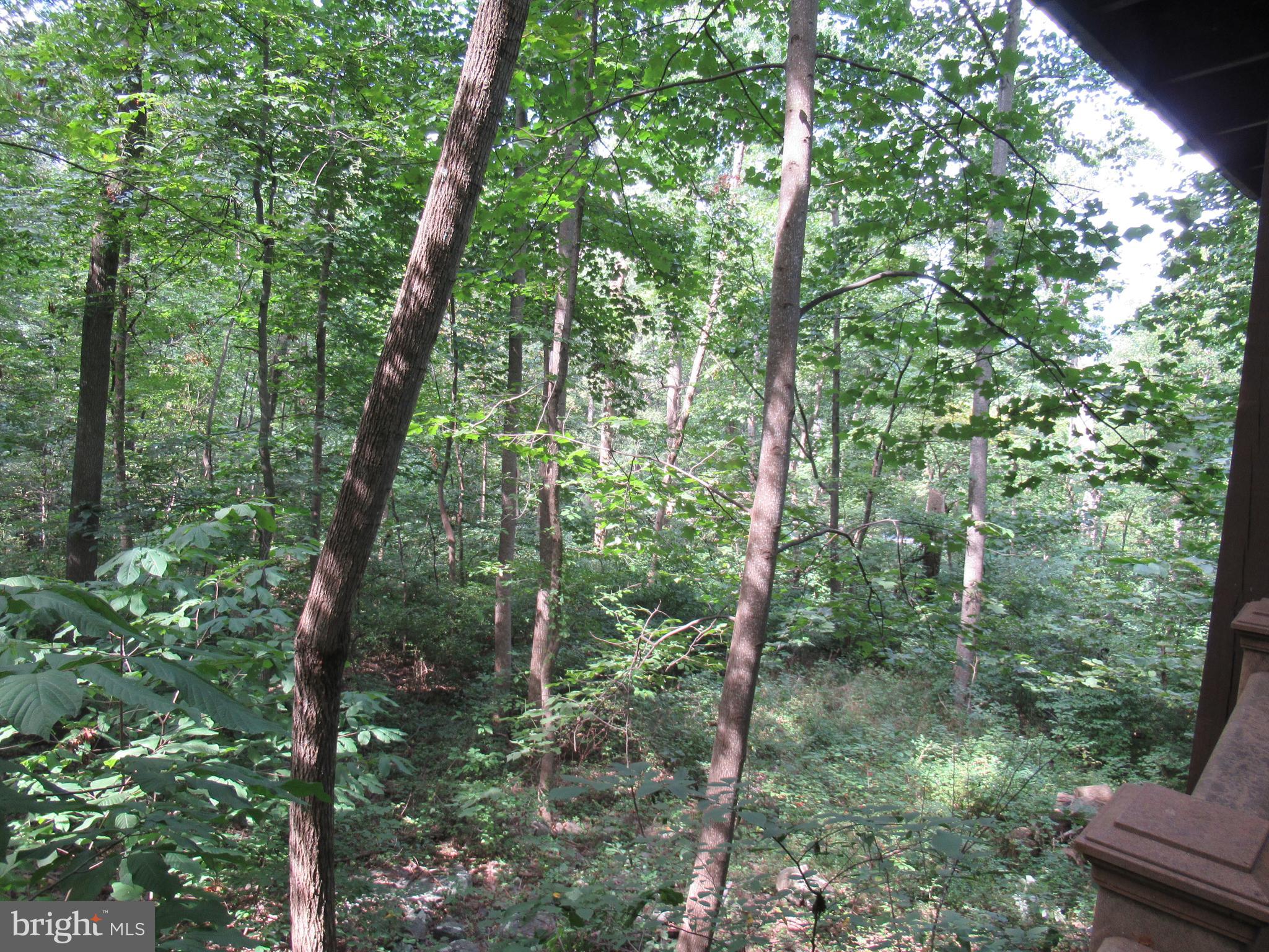 1286 Nancy Jack Road Gerrardstown, WV 25420 - Photo 49 of 49 Gallery Image 49