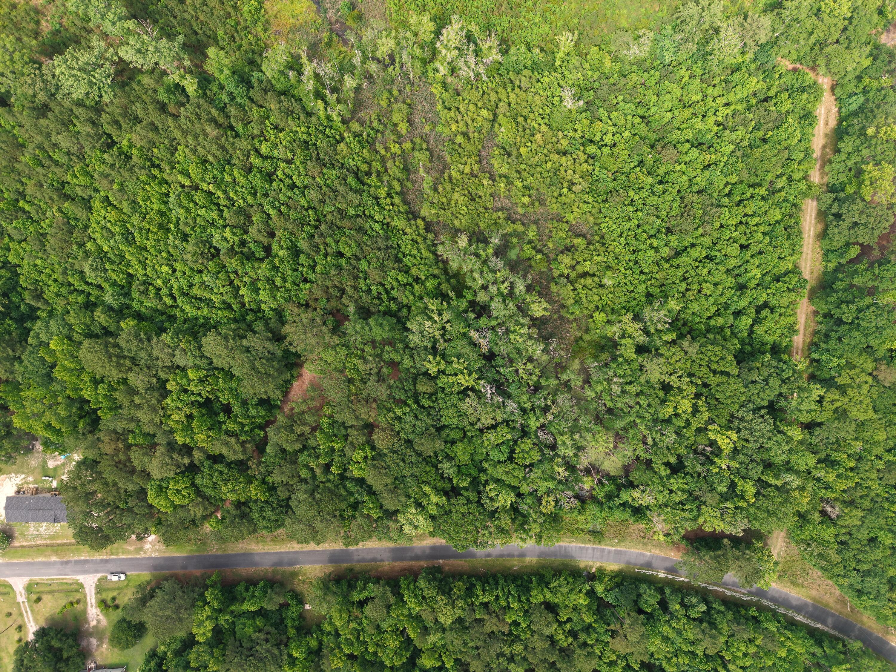 0 Hickory Hill Road Green Pond, SC 29446 - Photo 20 of 20 DJI_20260527154509_0209_D
