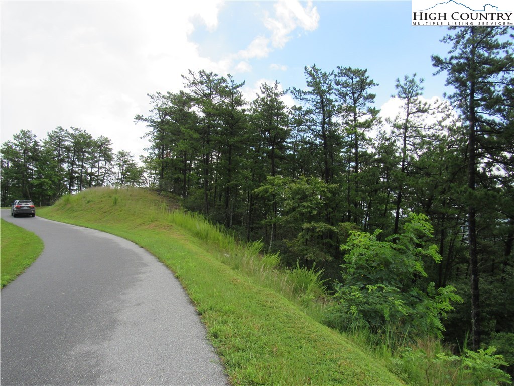 Lot 107 Nightshade Road Boone, NC 28607 - Photo 12 of 13 Gallery Image 12