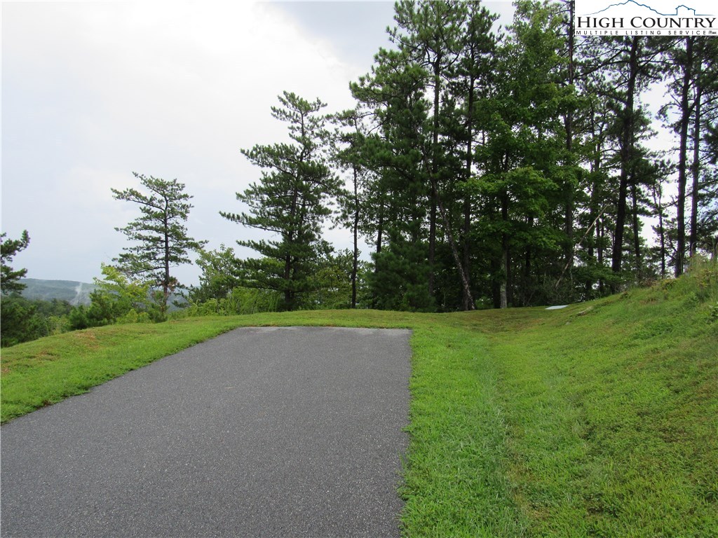 Lot 107 Nightshade Road Boone, NC 28607 - Photo 8 of 13 Gallery Image 8