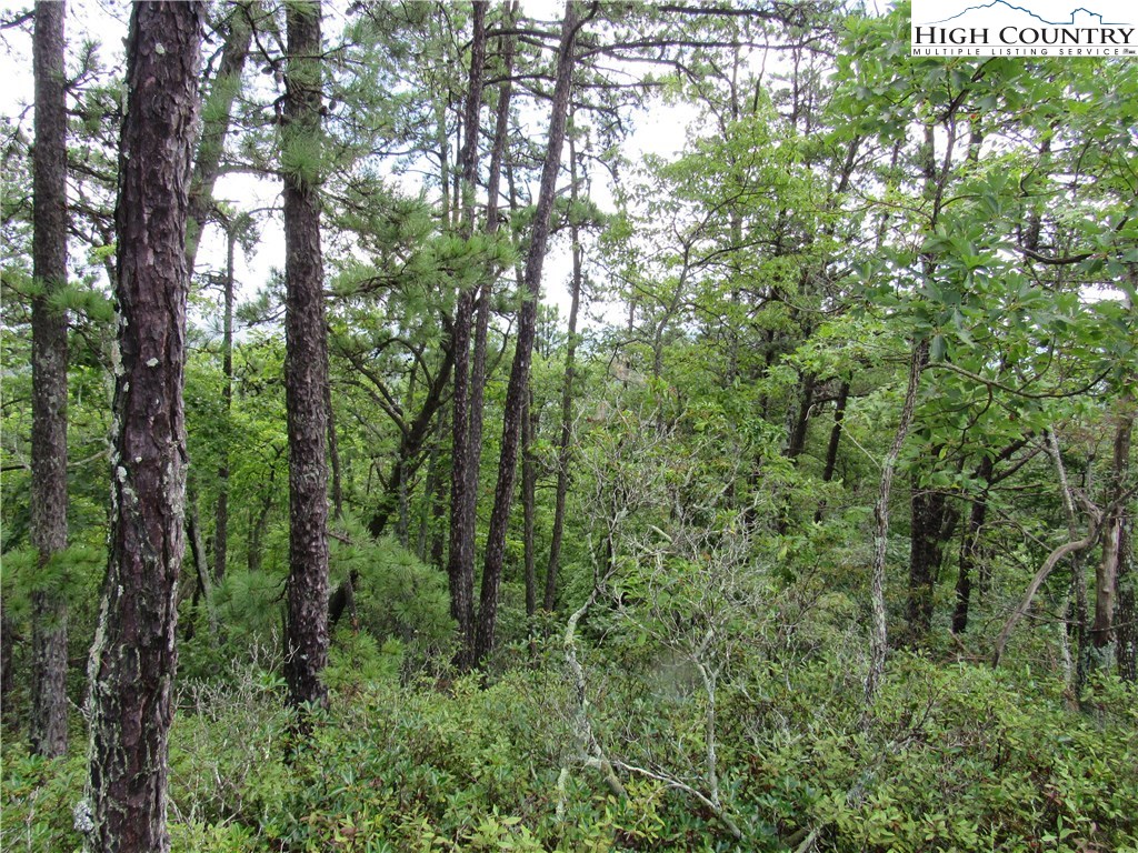 Lot 107 Nightshade Road Boone, NC 28607 - Photo 10 of 13 Gallery Image 10