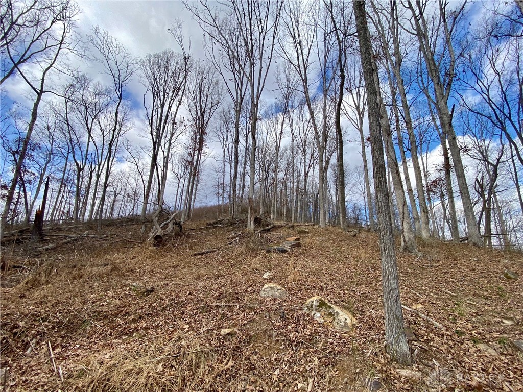 20 Beech Fork Road Lucasville, OH 45648 - Photo 15 of 17