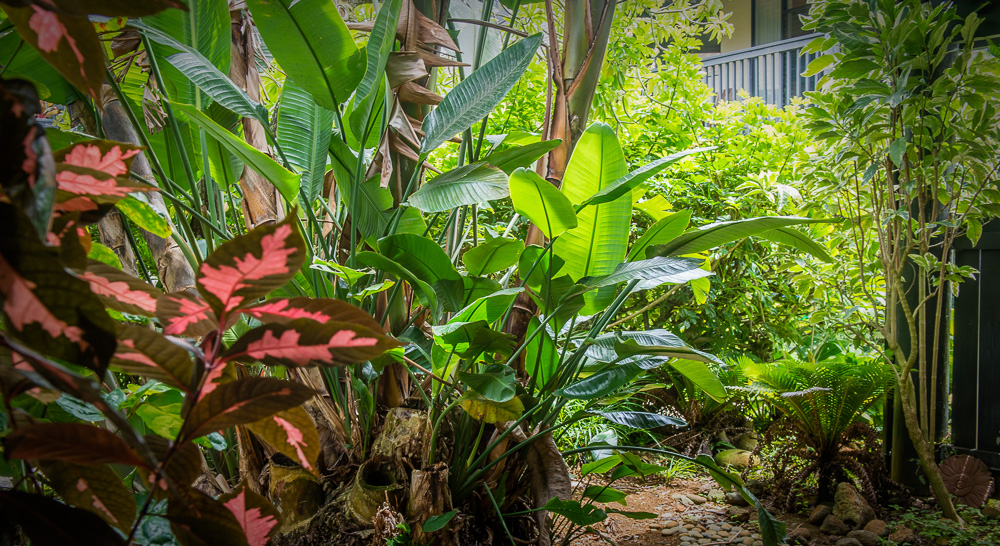 3920 Wyllie Road, Unit 9A Princeville, HI 96722 - Photo 28 of 30 a backyard of a house with lots of green space